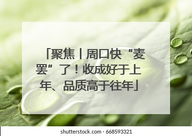 聚焦丨周口快“麦罢”了！收成好于上年、品质高于往年