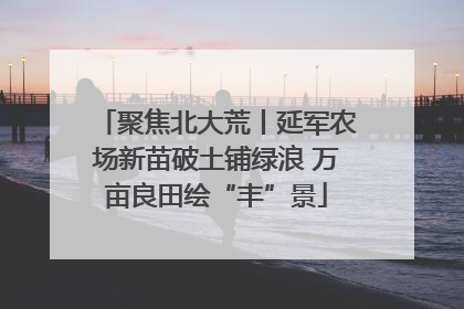 聚焦北大荒丨延军农场新苗破土铺绿浪 万亩良田绘“丰”景