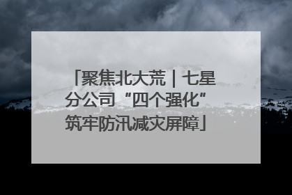 聚焦北大荒｜七星分公司“四个强化”筑牢防汛减灾屏障