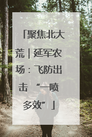 聚焦北大荒｜延军农场：飞防出击 “一喷多效”