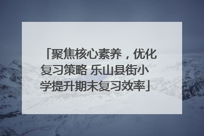 聚焦核心素养，优化复习策略 乐山县街小学提升期末复习效率