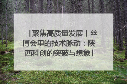 聚焦高质量发展丨丝博会里的技术脉动：陕西科创的突破与想象
