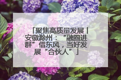 聚焦高质量发展丨安徽滁州：“融圈进群”借东风，当好发展“合伙人”