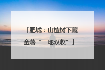 肥城：山楂树下藏金薯“一地双收”