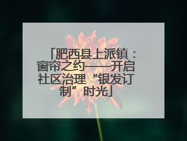 肥西县上派镇：窗帘之约——开启社区治理“银发订制”时光