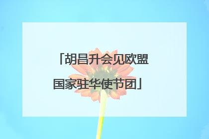 胡昌升会见欧盟国家驻华使节团