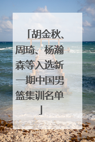 胡金秋、周琦、杨瀚森等入选新一期中国男篮集训名单
