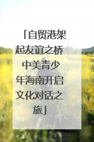 自贸港架起友谊之桥 中美青少年海南开启文化对话之旅