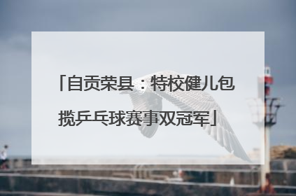 自贡荣县：特校健儿包揽乒乓球赛事双冠军