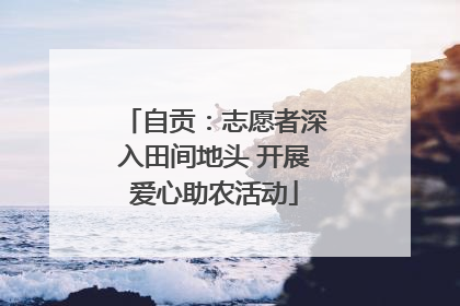 自贡：志愿者深入田间地头 开展爱心助农活动