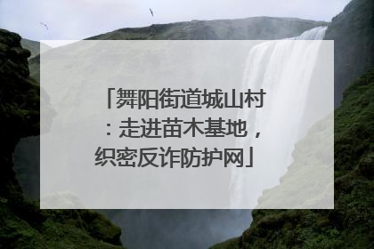 舞阳街道城山村：走进苗木基地，织密反诈防护网