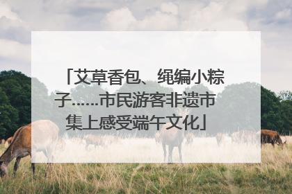 艾草香包、绳编小粽子……市民游客非遗市集上感受端午文化