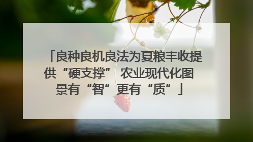 良种良机良法为夏粮丰收提供“硬支撑” 农业现代化图景有“智”更有“质”