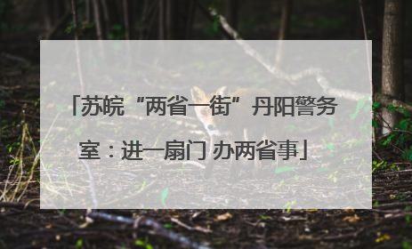 苏皖“两省一街”丹阳警务室：进一扇门 办两省事