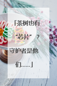 茶树也有“芯片”？守护者是他们……