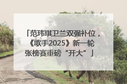 范玮琪卫兰双强补位，《歌手2025》新一轮张榜赛重磅“开大”