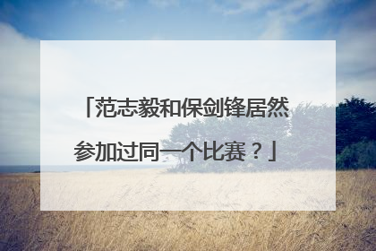 范志毅和保剑锋居然参加过同一个比赛？