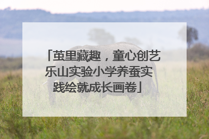 茧里藏趣，童心创艺 乐山实验小学养蚕实践绘就成长画卷