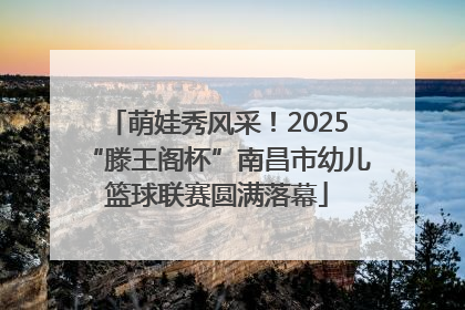萌娃秀风采！2025“滕王阁杯”南昌市幼儿篮球联赛圆满落幕