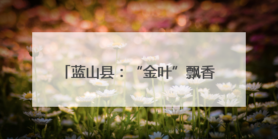 蓝山县：“金叶”飘香季 烟农赶“烤”忙