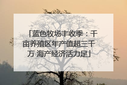 蓝色牧场丰收季：千亩养殖区年产值超三千万 海产经济活力足
