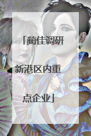 蔺佳调研新港区内重点企业