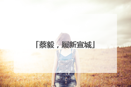 蔡毅，履新宣城