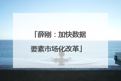 薛刚：加快数据要素市场化改革