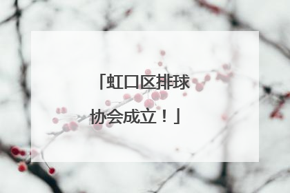 虹口区排球协会成立！