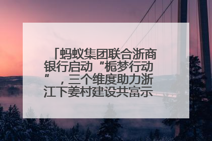 蚂蚁集团联合浙商银行启动“栀梦行动”，三个维度助力浙江下姜村建设共富示范区示范点