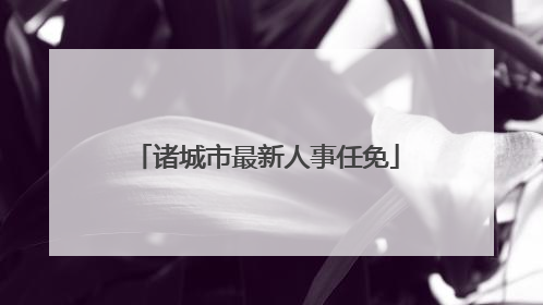 诸城市最新人事任免