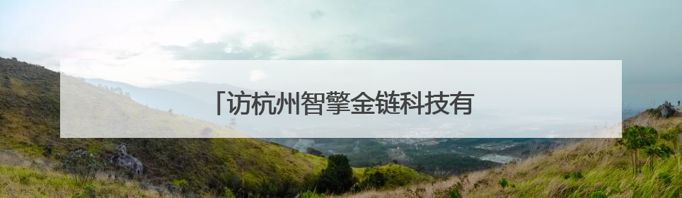 访杭州智擎金链科技有限公司董事长和扬扬