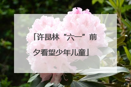 许昆林“六一”前夕看望少年儿童