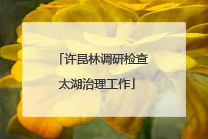 许昆林调研检查太湖治理工作