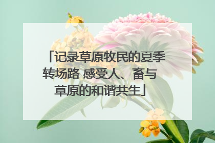 记录草原牧民的夏季转场路 感受人、畜与草原的和谐共生
