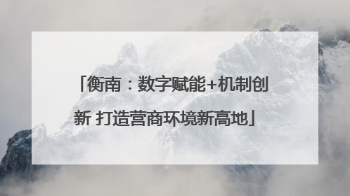 衡南：数字赋能+机制创新 打造营商环境新高地