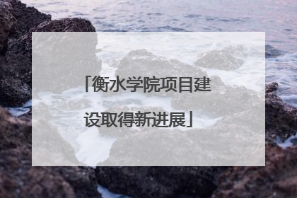 衡水学院项目建设取得新进展