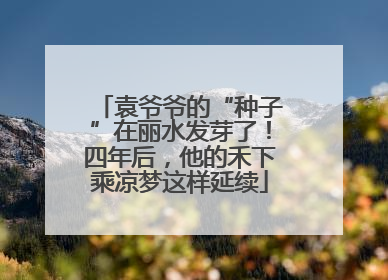 袁爷爷的“种子”在丽水发芽了！四年后，他的禾下乘凉梦这样延续