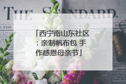 西宁南山东社区：亲制帆布包 手作感恩母亲节