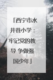 西宁市水井巷小学：牢记党的教导 争做强国少年