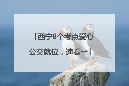 西宁8个考点爱心公交就位，速看→