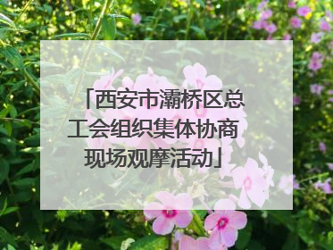 西安市灞桥区总工会组织集体协商现场观摩活动