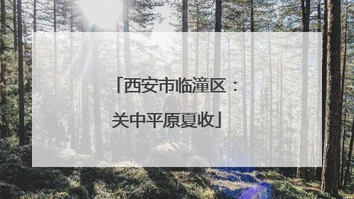 西安市临潼区：关中平原夏收
