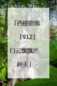 西楼影像「912」白云飘飘芒种天