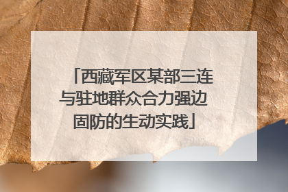 西藏军区某部三连与驻地群众合力强边固防的生动实践