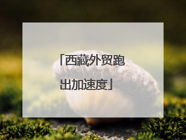 西藏外贸跑出加速度