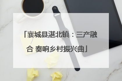 襄城县湛北镇：三产融合 奏响乡村振兴曲