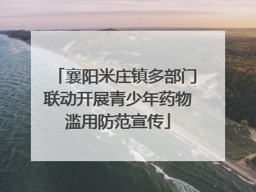 襄阳米庄镇多部门联动开展青少年药物滥用防范宣传