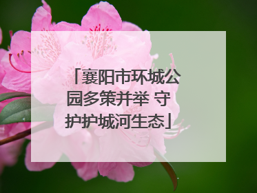 襄阳市环城公园多策并举 守护护城河生态