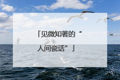 见微知著的“人间瓷话”